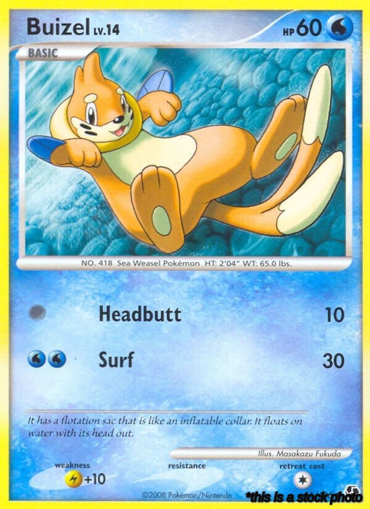 Buizel