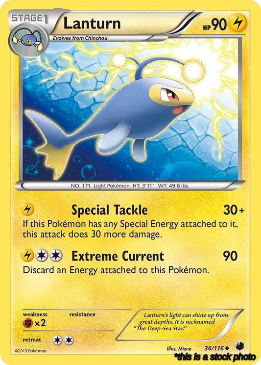 36/116 Lanturn Uncommon Normal