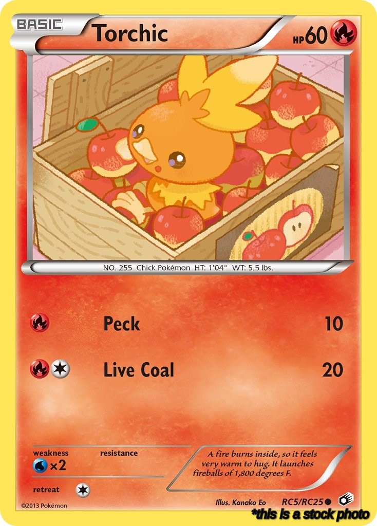 Torchic