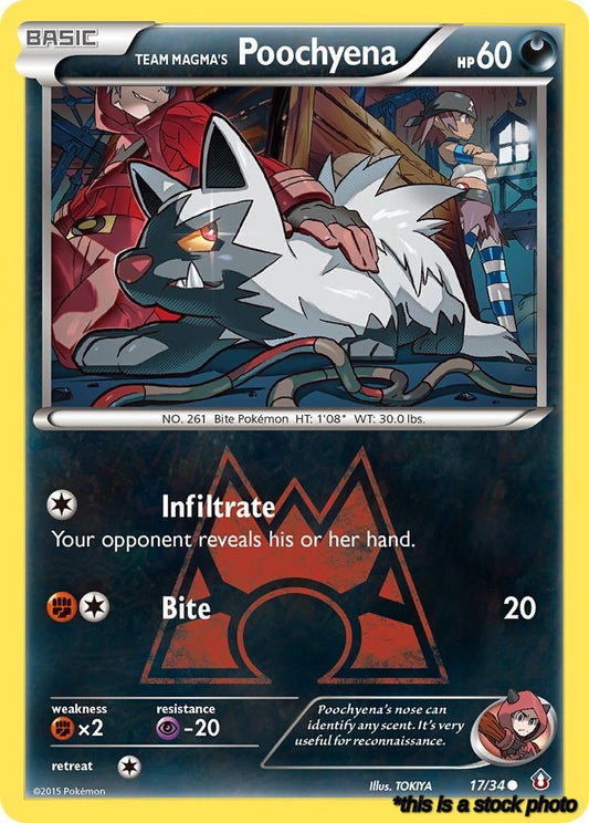 Team Magma's Poochyena