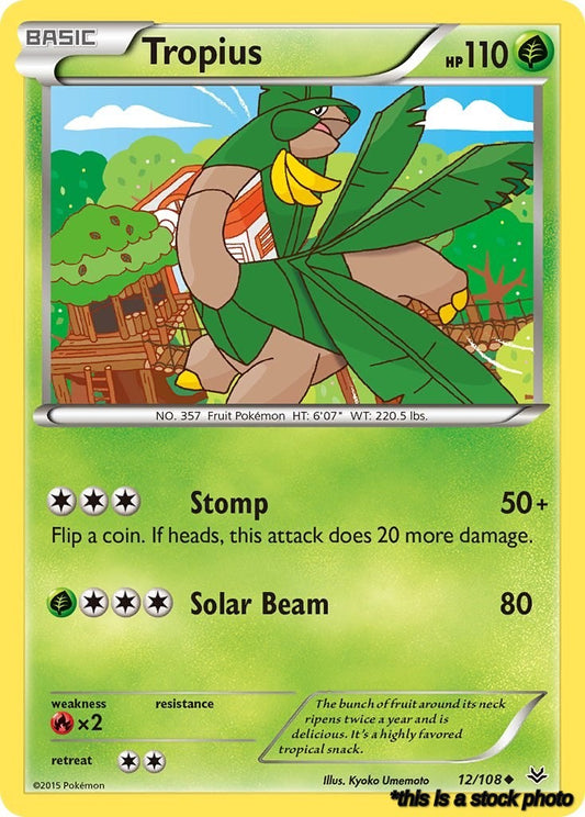 Normal Tropius [12/108 Near Mint ]