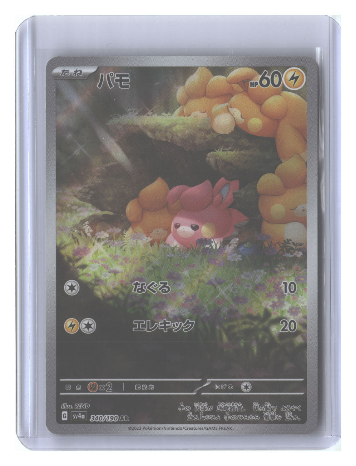 Pawmi - 340/190
